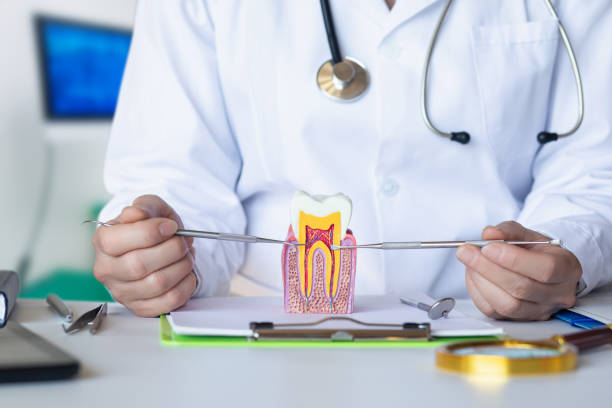 Best Emergency Tooth Extraction in East Helena, MT